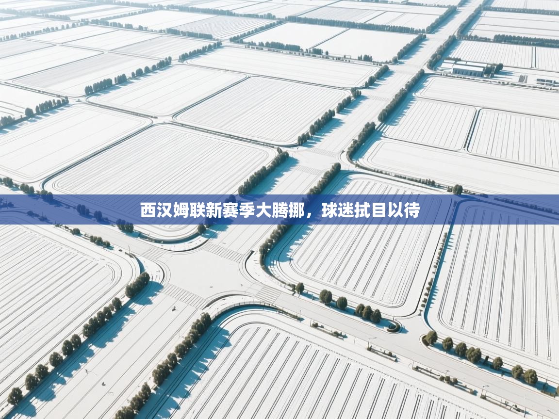 西汉姆联新赛季大腾挪，球迷拭目以待  第2张