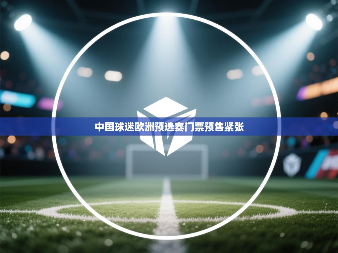 中国球迷欧洲预选赛门票预售紧张  第2张