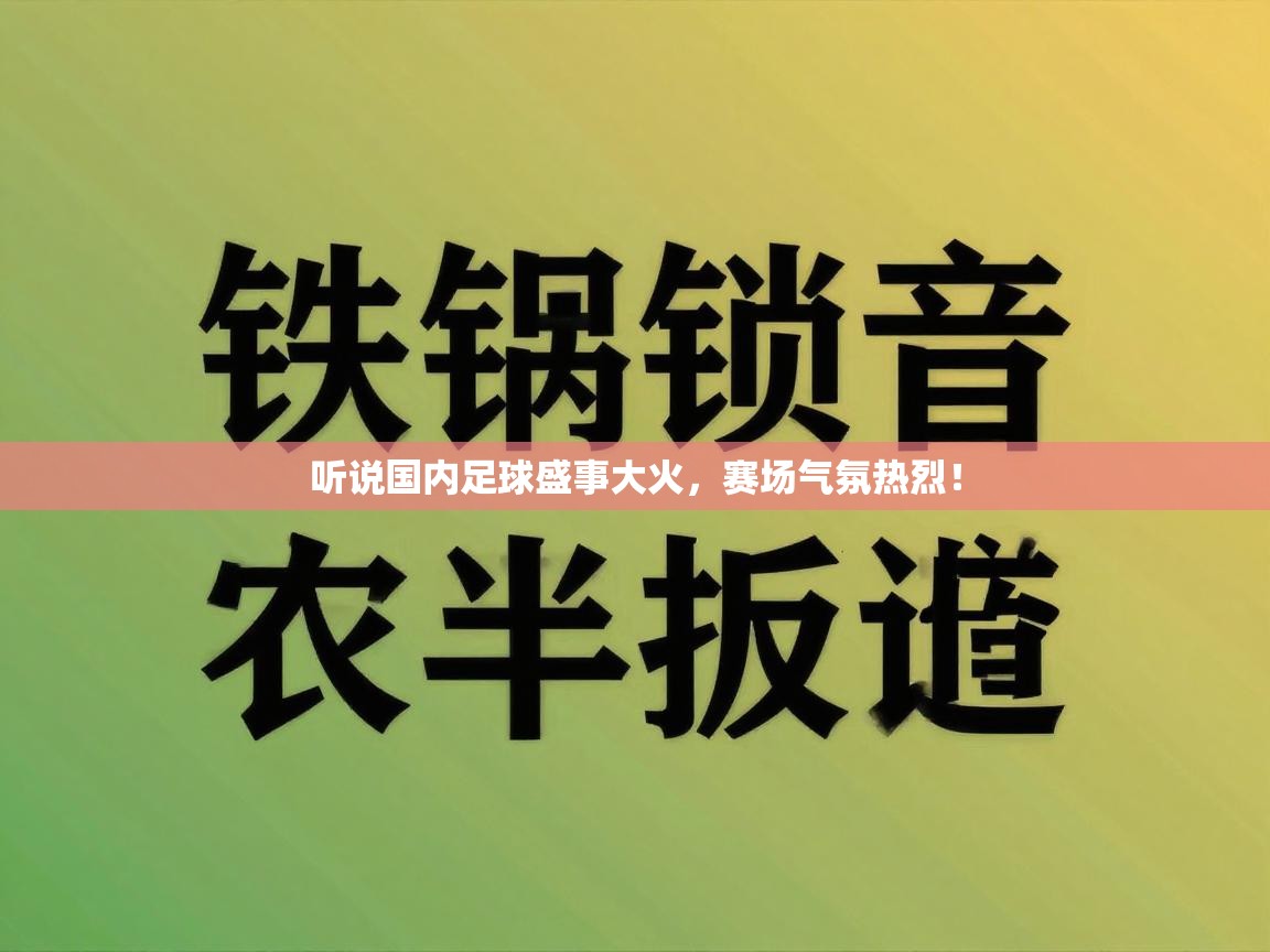 听说国内足球盛事大火,赛场气氛热烈! 第1张